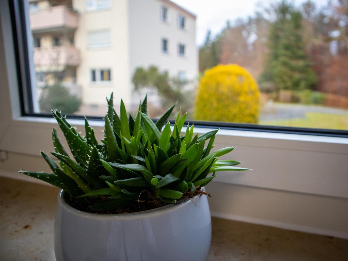 Seewaldblick - Ferienwohnung Am Bodensee Friedrichshafen Exterior photo